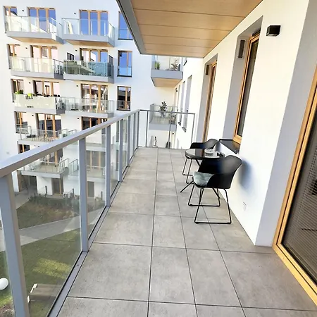 Mimosa * Краков