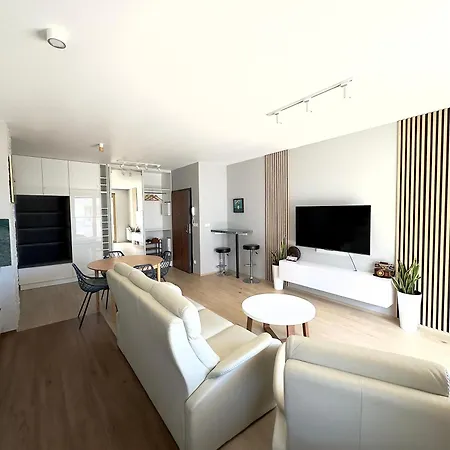 Mimosa 公寓 克拉科夫