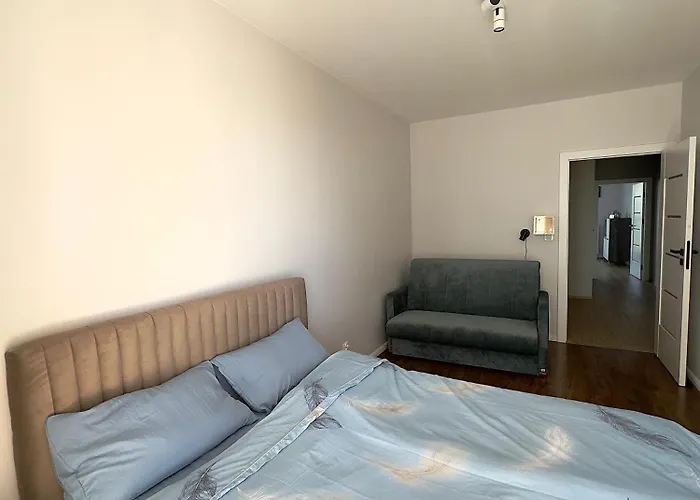 Mimosa * كراكوفيا